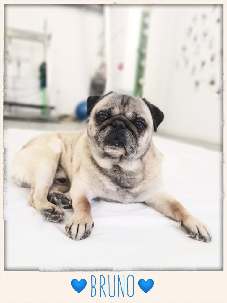 1b975694 fa34 4949 a650 c427c773bc42