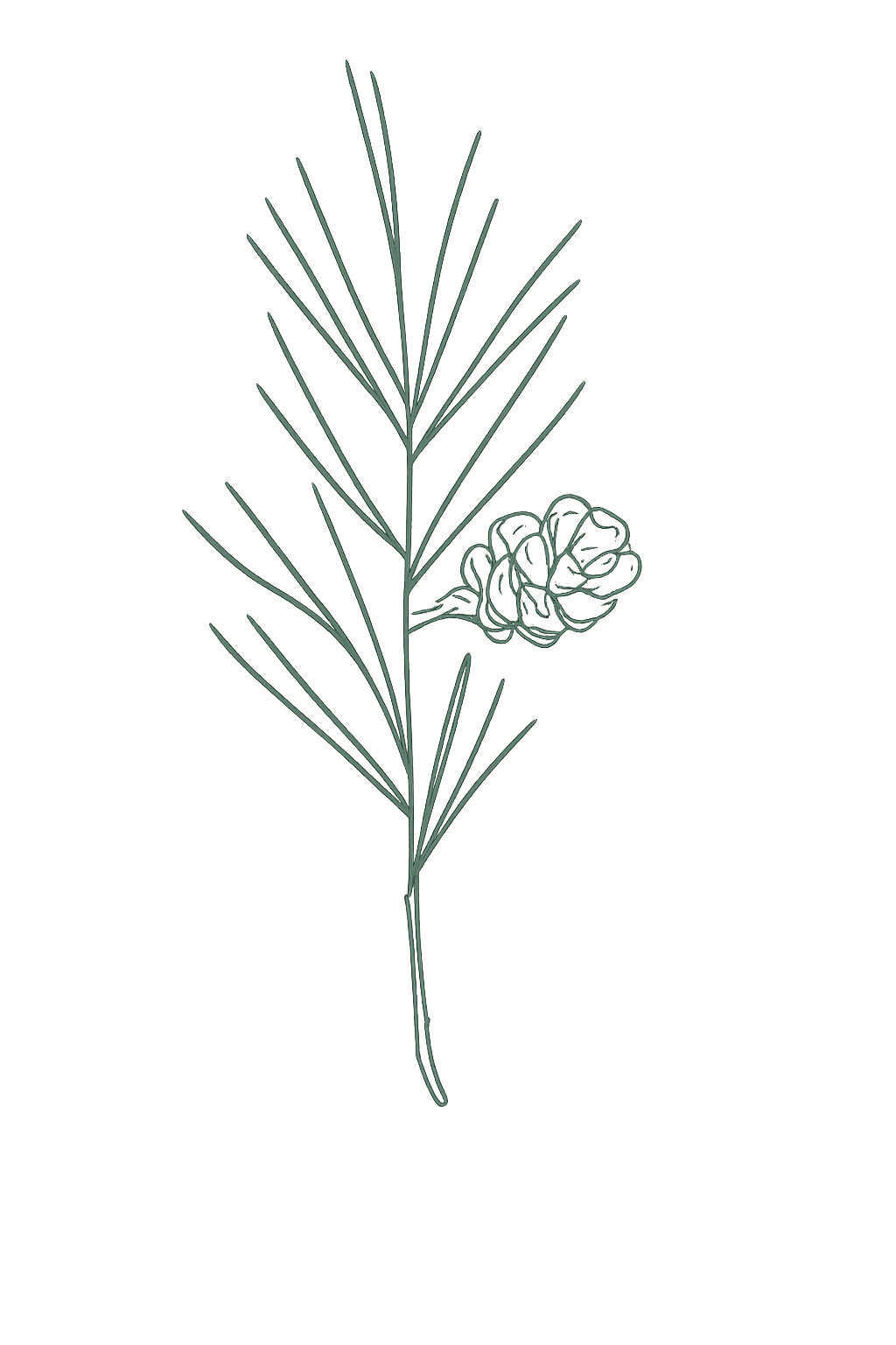 5372f3a5 7909 409c b389 b06959a4cfb6