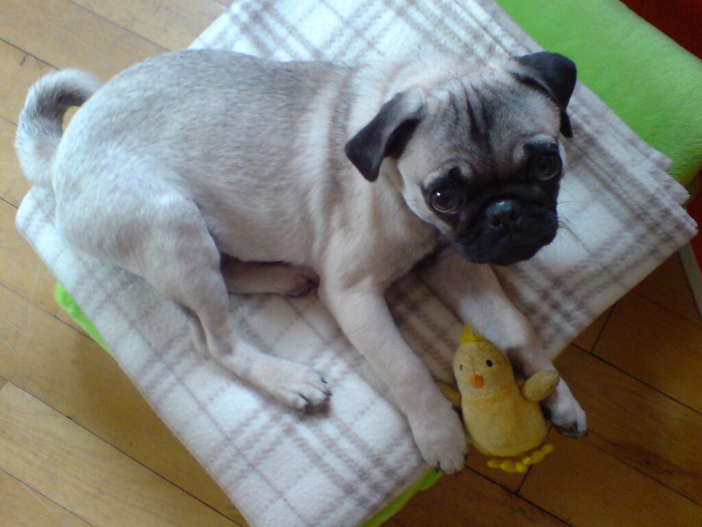 56bd816d 8a07 48bf 9355 23fa1dd17637