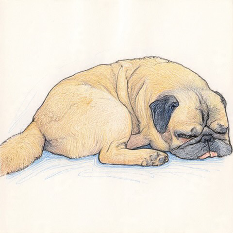 f7cc03e8 d157 4175 8657 ce89fda6df95