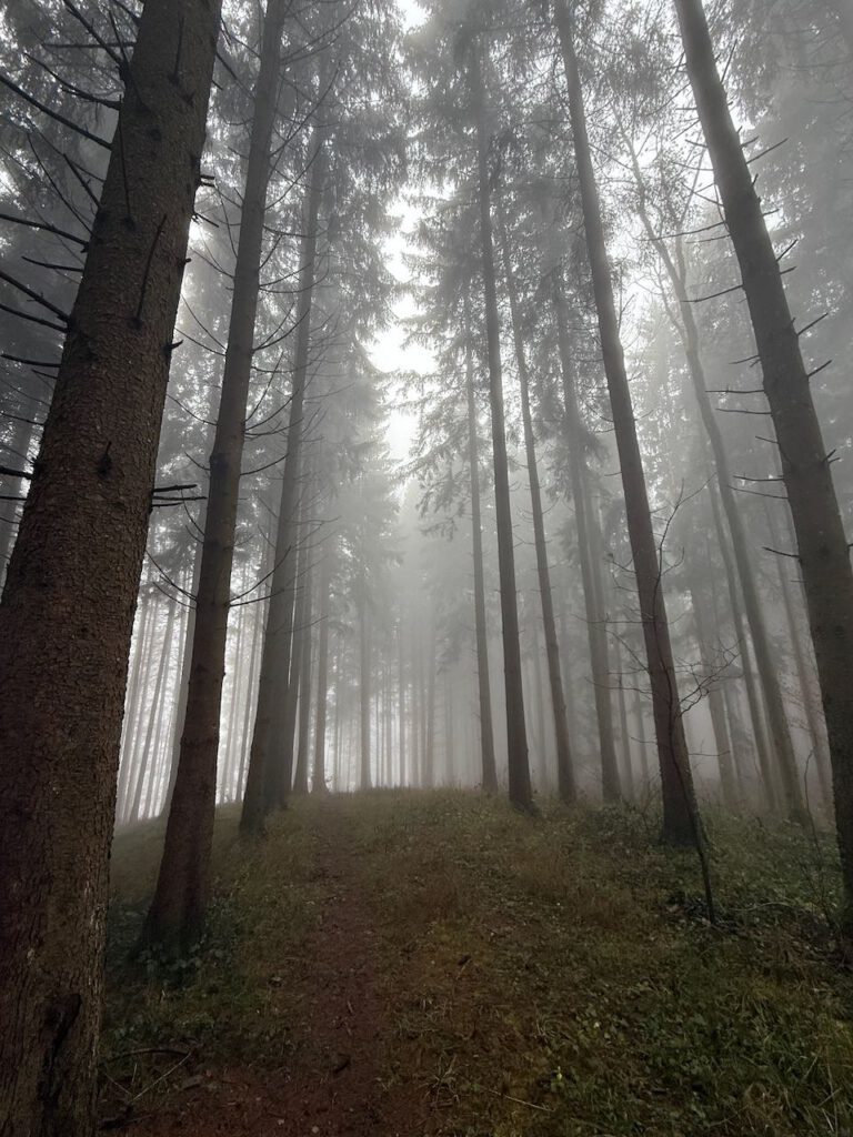 Café Glückseligkeit im Deggenhausertal IMG 1445 768x1024